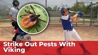 Peace of Mind with Viking Pest