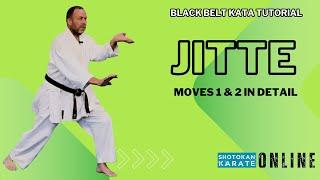 Jitte Kata Tutorial Moves 1 and 2 With Applications