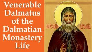 Venerable Dalmatus of the Dalmatian Monastery, Life , 03.08.20