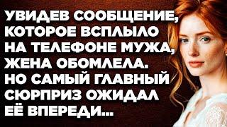 Увидев сообщение, которое всплыло на телефоне мужа, жена обомлела. Но самый главный сюрприз...