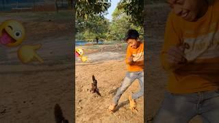 Chicken baby hunting  #sahin_showkat #shortvideo #shorts