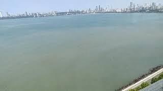 View from Hotel Trident | Nariman Point| Sea view room | Superb Sea View Room #hotel #trident