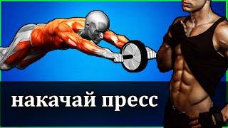 Ролик для пресса. Пресс с роликом. Фитнес. Спорт. Калистеника.