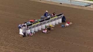 2024 Winter Corgi Nationals Championship at Santa Anita Park