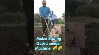 Maize Sowing (Grabu Machine )#shorts #farming #sowingseeds