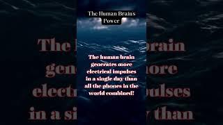 "Unlocking the Mind's Spark: How the Human Brain Generates ️Electrical Impulses"