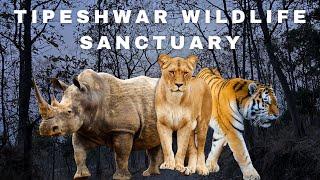  First Jungle Safari at Tipeshwar Wildlife Sanctuary | Gypsy Safari Experience | Mathani Gate