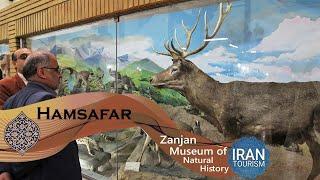 موزه تاریخ طبیعی زنجان | Zanjan Museum of Natural History