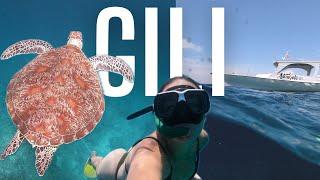 Snorkelling in the Gili Islands, Indonesia - Turtle Point