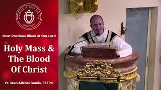 Holy Mass And The Blood Of Christ - Sermon by Fr Gomis (1 Jul 2024)