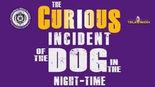 2019   The Curious Incident of the Dog in the Night Time