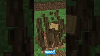 Minecraft, But If You Subscribe I Die