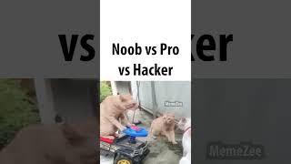 noob vs pro vs hacker