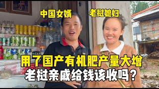 用了中國女婿給的國產有機肥，玉米產量大增，老撾親戚給錢該收嗎？