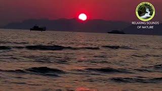 Relaxing sunset view with calming ocean wave sound | nature sounds for sleep/study/meditation/stress