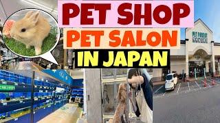 PET SHOP & PET SALON IN JAPAN GIFU || 4K VIEWS