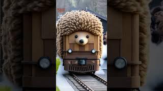 The Hedgehog Train Just Arrived!  Would You Ride It?