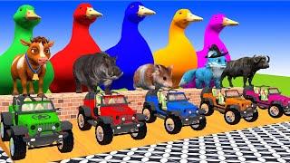 5 Giant Duck Cartoon,Tiger,Cow,Zebra,Chicken,Dog,Cat Wild Animals Crossing Fountain 2023