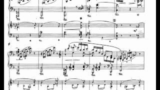 Schumann piano concerto in A minor op. 54 Intermezzo: Andantino grazioso [2\3]