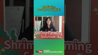 Probiotics | shrimp farm choose powder or liquid? advantage and disadvantage about probiotic｜tips