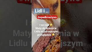 Lidl #wpadkinażywo #haha #shorts #śmieszne #conowego #conowego1313 # #beka