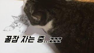 [고양이 그리는 방법 16장] 꿀잠 자는 아기 고양이