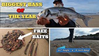 BASS FISHING | BASS GO CRAZY FOR THIS BAIT | BASS AFTER BASS | SEA FISHING UK | MASTERFISHERMAN