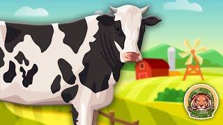 Cows! Learn All About Cows! | Farm Animal Songs For Kids | KLT WILD