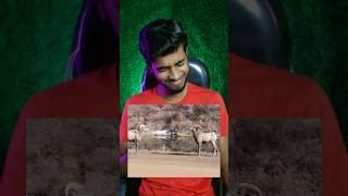 So Same Time Next Week | Instagram Funny Comments | Monu Yadav | #shorts