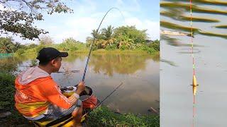 FISHING . ĐIỂM NÀY CÁ NHIỀU THIỆT GIẬT ĐÃ GHIỀN