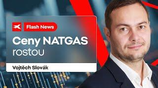 Flash news: Ceny NATGAS rostou