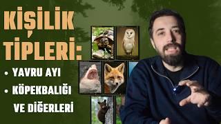 Kişilik Tipleri ve Çatışma: Ayıcık, Kaplumbağa, Köpekbalığı ve Diğerleri #çatışma #kişiliktipleri