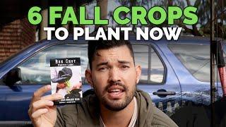 6 Fall Crops To Plant Now and Grow Through Winter