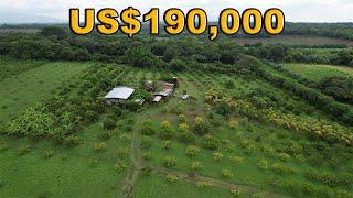 Finca Disponible de 6.5 MANZANAS en León, Nicaragua - Nicaragua Real Estate