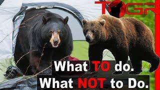 How to Backpack in Bear Country - How to Handle and Prevent Bear Encounters