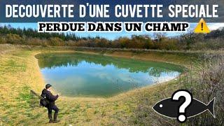 DÉCOUVERTE INCROYABLE, CUVETTE TRÈS SPÉCIALE PERDUE au MILIEU d'un CHAMP / Y'A T-IL DU POISSON ?