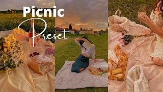 Picnic Preset|Free Lightroom Preset Free DNG 2021