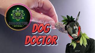 Ep. #162 Dog Doctor