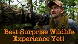 One of my Best Wildlife Photography Experiences YET! | Nikon Z9