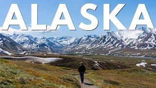 Alaska 8 Day Road Trip: Anchorage, Fairbanks, Glaciers, Wildlife & Denali over 1,000 Miles