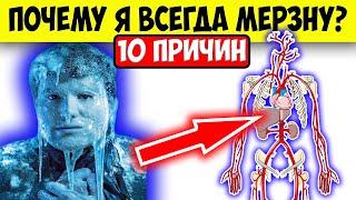 10 причин почему вы мерзнете даже в теплое время года