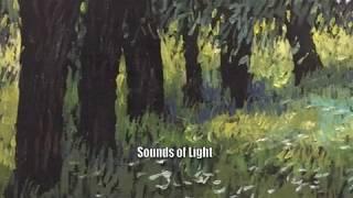 Sounds of Light 7/5/2009 - Alexandr Onishenko / Michael Omer