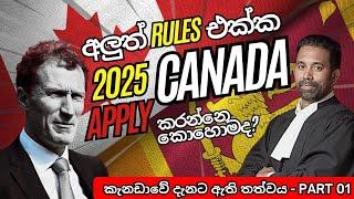 අලුත් rules එක්ක Canada  apply කරන්නෙ කොහොමද ?? Immigration lawyer කෙනෙක්ගෙන් දැනගමු 