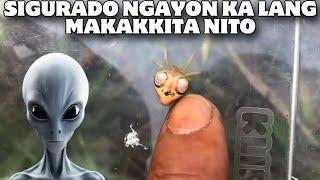 GAGAMBANG ALIEN SOBRANG RARE NITO