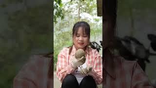 黄姐姐手工制作草药和米粉制成的酵母！#乡村生活#黄姐姐独居生活日常 #农村赶集 #农村女孩日常