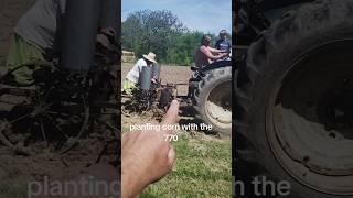 planting corn with the old Oliver 770