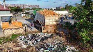 Nicely Start a New Project.! Excellent TeamWork 5T Trucks & D31P Dozer fill Land And Clearing Forest