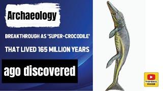 Archaeology breakthrough as 'super-crocodile' that lived 165 million years ago discovered