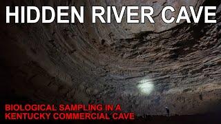 Hidden River Cave - Kentucky