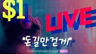 XRP 1달러 전체공개 라이브 #bittv #비트코인#이더리움#XRP